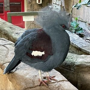 Meet your Posher, Shauna